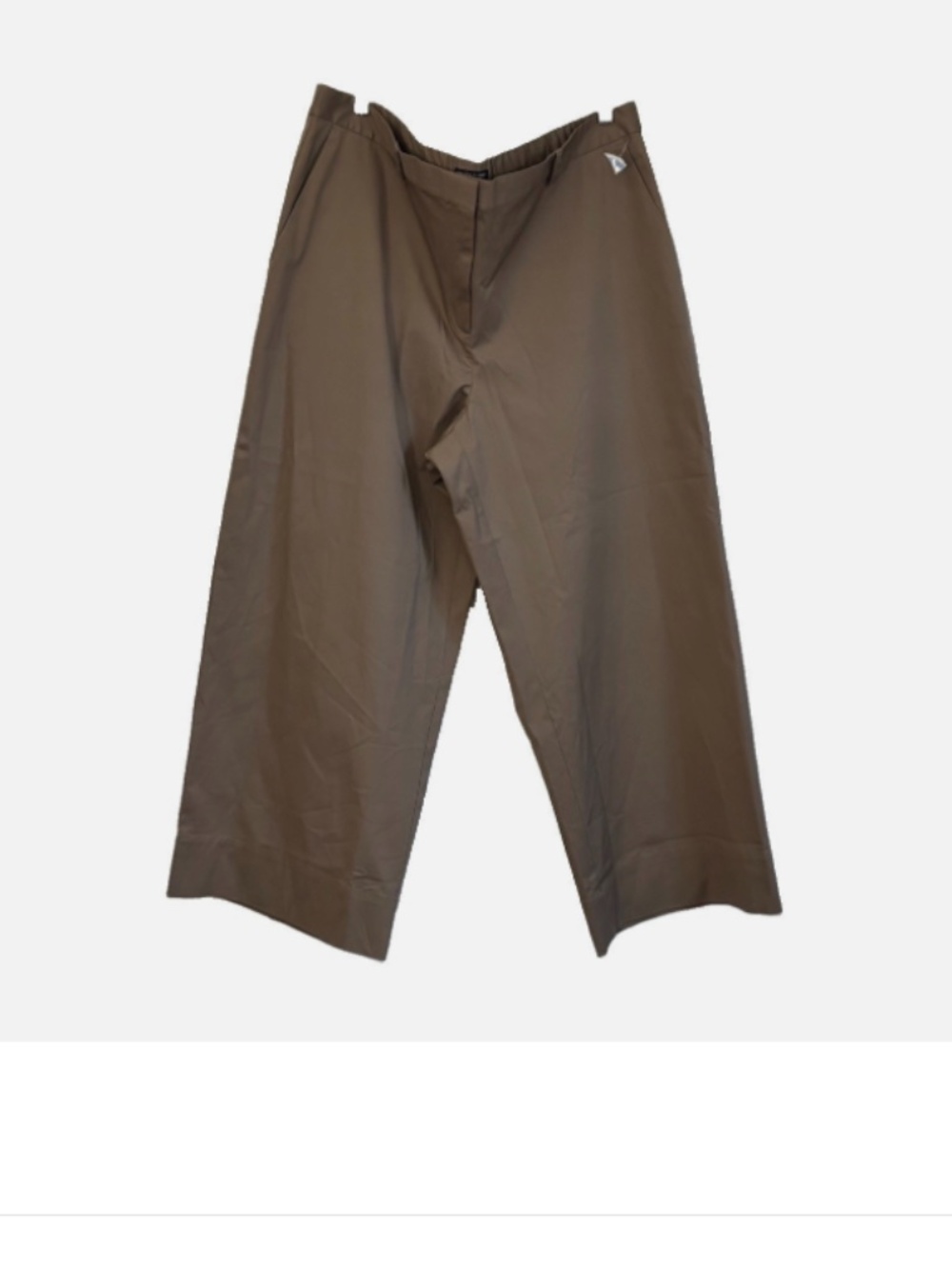 EILEEN FISHER  Woman Wide Leg Cropped Pants Plus Size: 1X